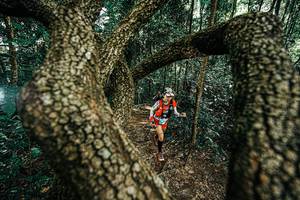 BIB: 
                            <button type="button" onclick="openModal(25392619)" class="btn btn-primary btn-sm float-right btn-popup" data-toggle="modal" data-target=".modal-high-quality">
                        <i class="fas fa-shopping-cart"></i> Add to Cart
                    </button>
                                            <button type="button" onclick="isThisMe(25392619, true)" class="btn btn-success btn-sm float-right btn-popup btn-isme hidden" data-toggle="tooltip" data-placement="bottom" title="นี่คือรูปของคุณใช่ไหม คลิกที่นี่เพื่อเอาเข้าอัลบั้ม">
                        <i class="fas fa-plus"></i> Add to album
                    </button>
                    <button type="button" onclick="isThisMe(25392619, false)" class="btn btn-warning btn-sm float-right btn-popup btn-isnotme hidden">
                        <i class="fas fa-ban"></i> Remove from album
                    </button>